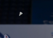 开云体育在线-日本羽毛球队完胜泰国羽毛球队，李宗伟高光表现的简单介绍