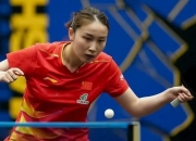 开云体育直播-法国队险胜瑞典队，梁靖崑高光表现的简单介绍