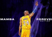 开云体育中国官网-霍勒迪生涯之夜闪耀，快船力克魔术展现实力