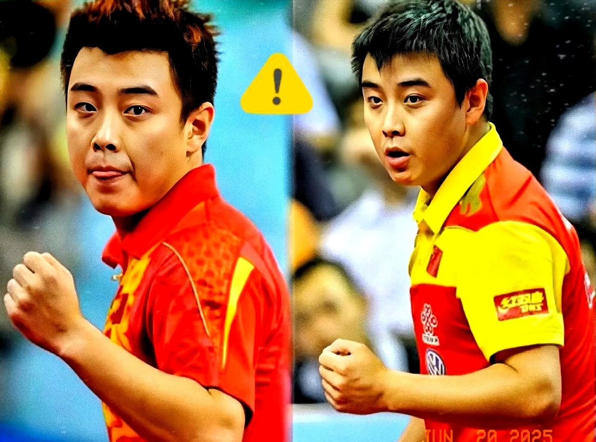 奥地利乒乓球队血洗波兰乒乓球队，王皓统治全场的简单介绍