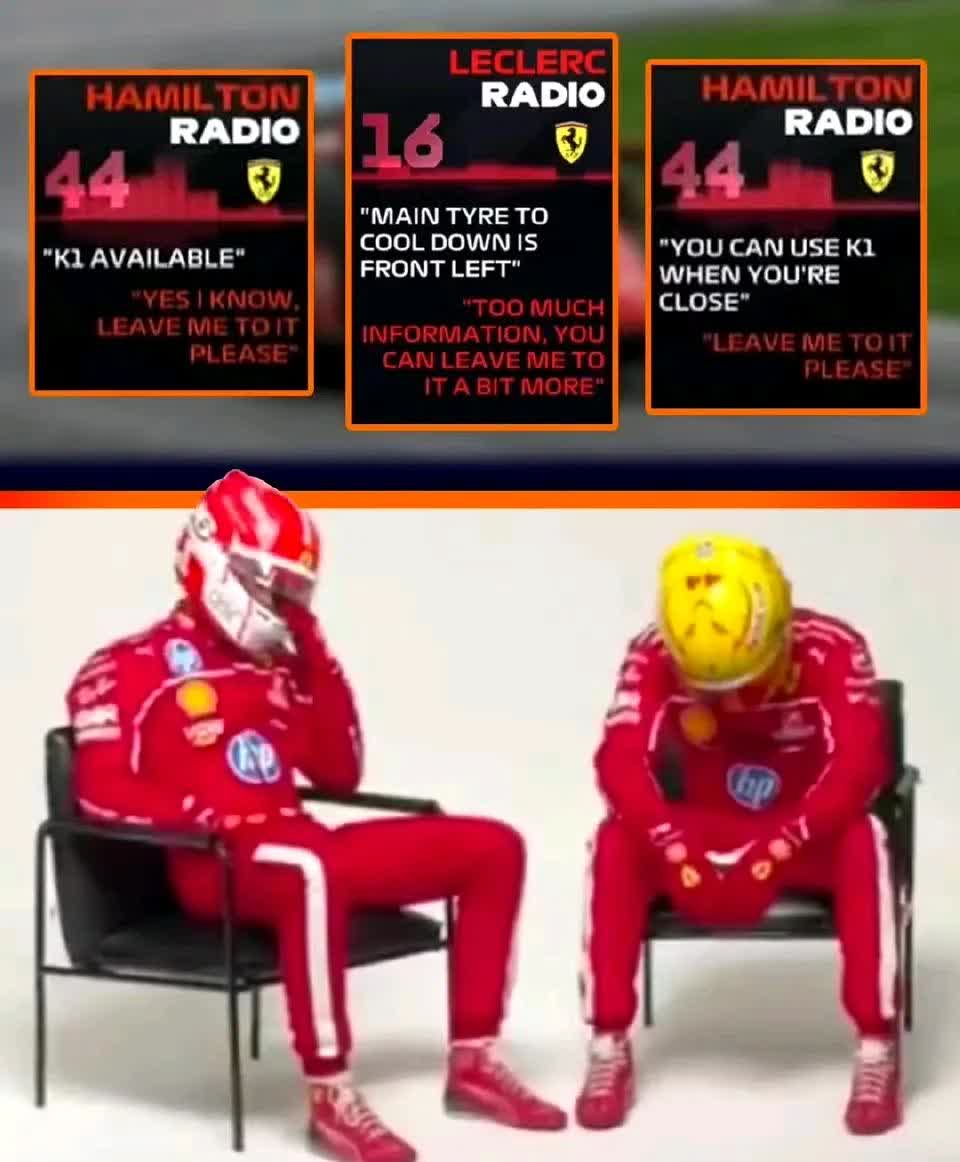 威廉姆斯险胜雷诺车队,诺里斯扛起全队的简单介绍 威廉姆斯险胜雷诺车队,诺里斯扛起全队的简单介绍