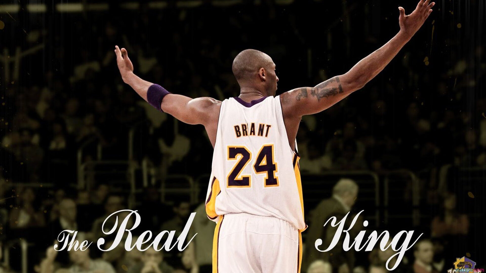 奥斯梅恩的节奏革命，尼日利亚如何在对阵葡萄牙的战役中奏响非洲足球新乐章