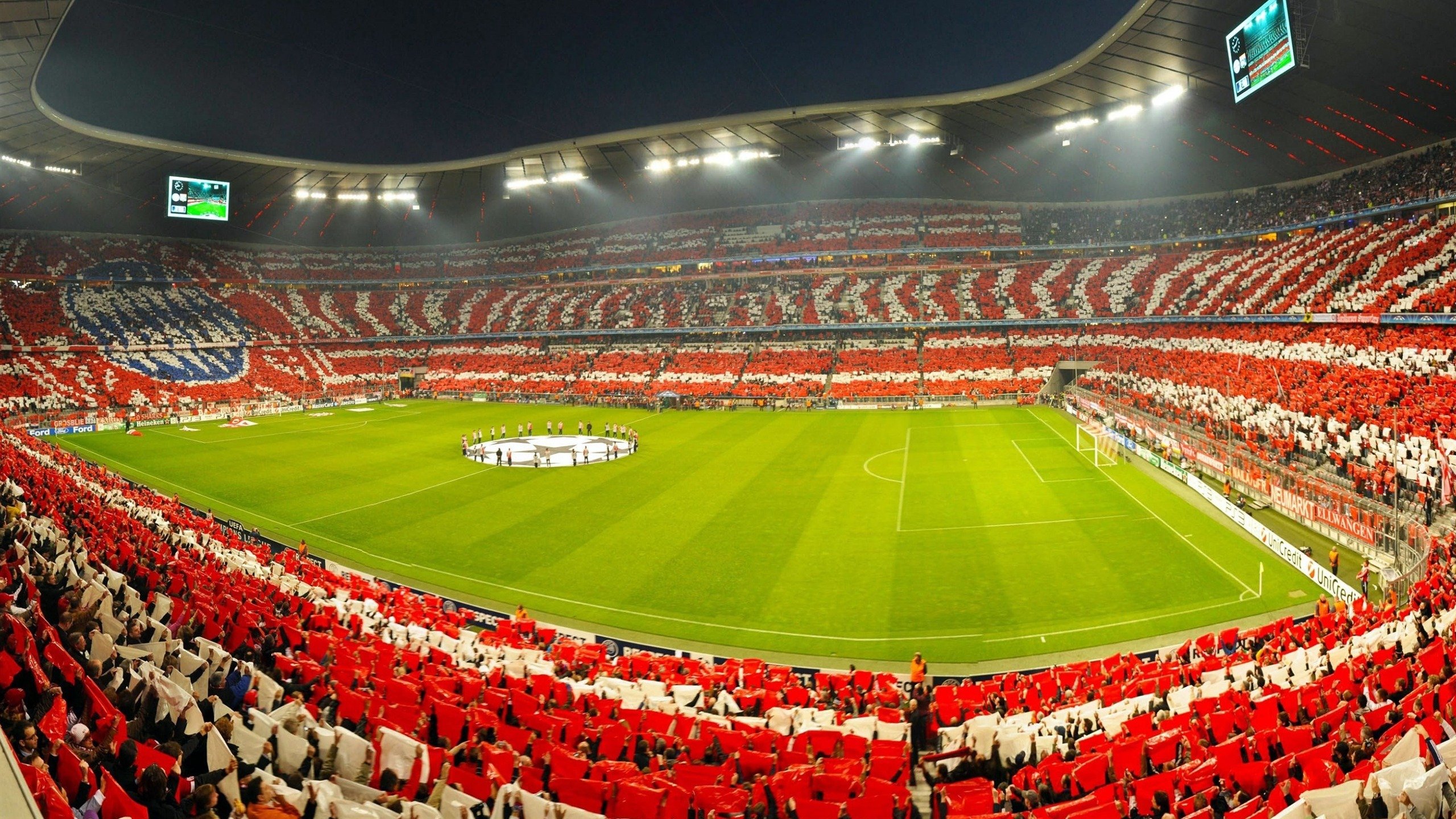 赛道与救赎，富安健洋的F1年度争冠之夜