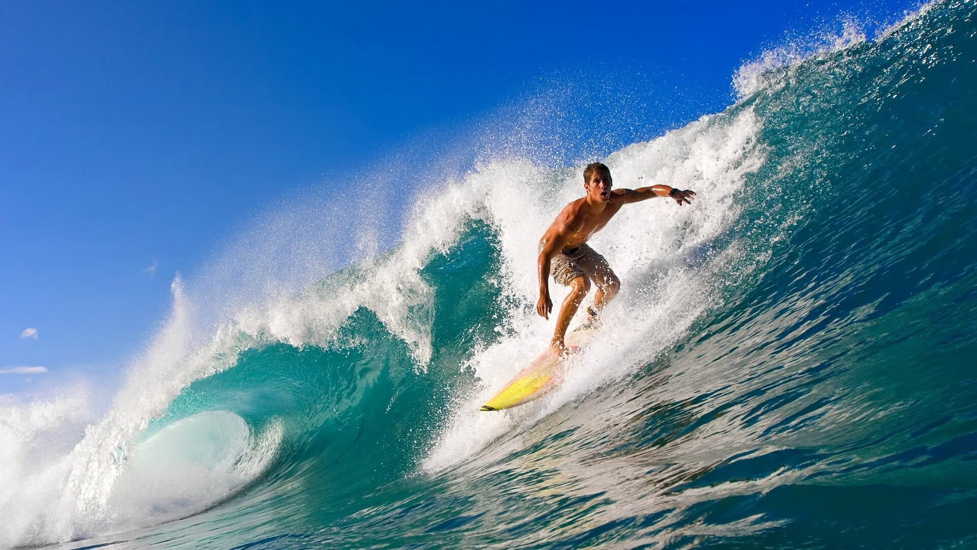 鹰击长空，北境之王，当老鹰提前终结悬念，伦纳德生死战接管比赛